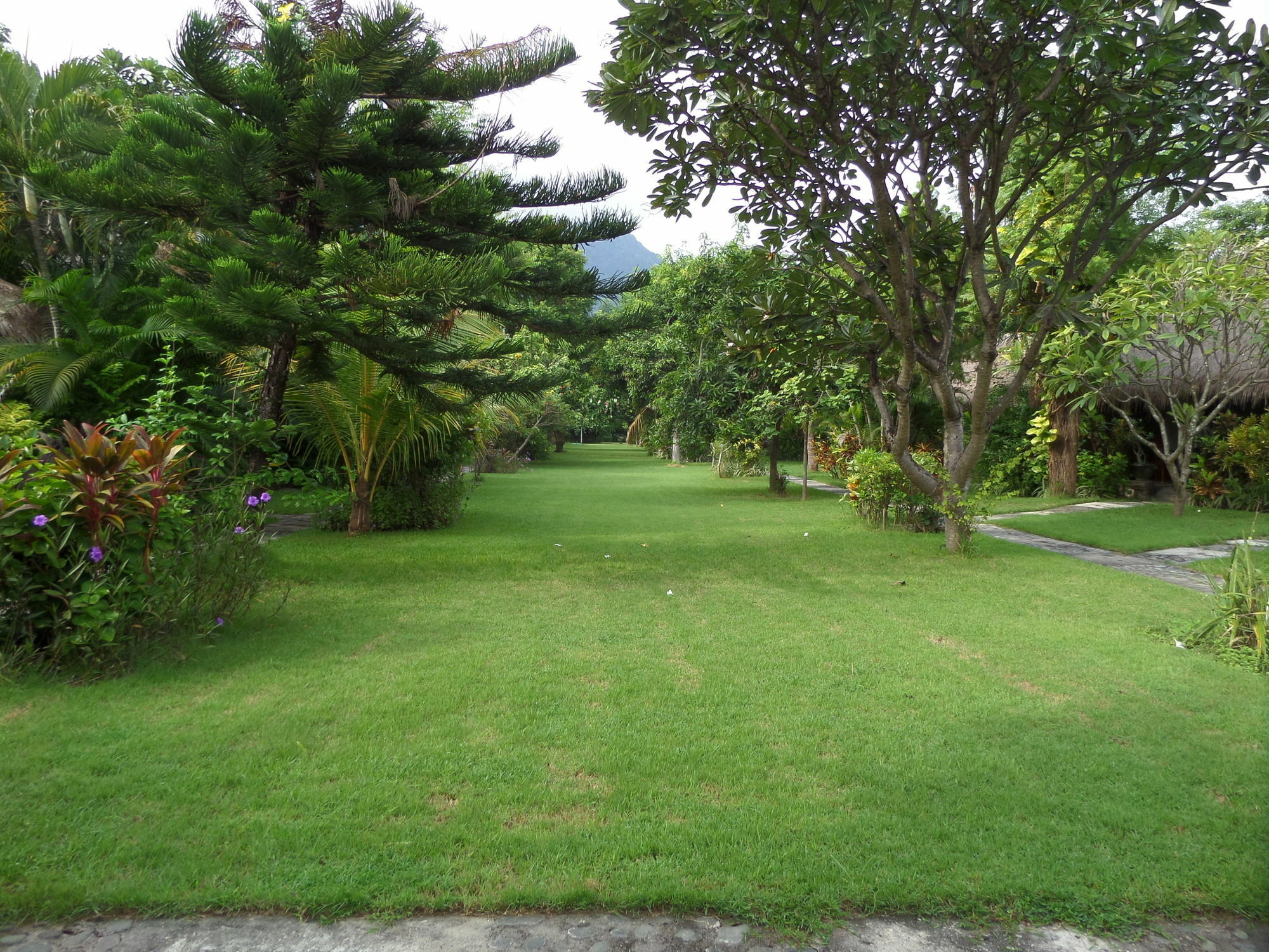 Taman Selini Wahana Beach Resort Pemuteran Kültér fotó