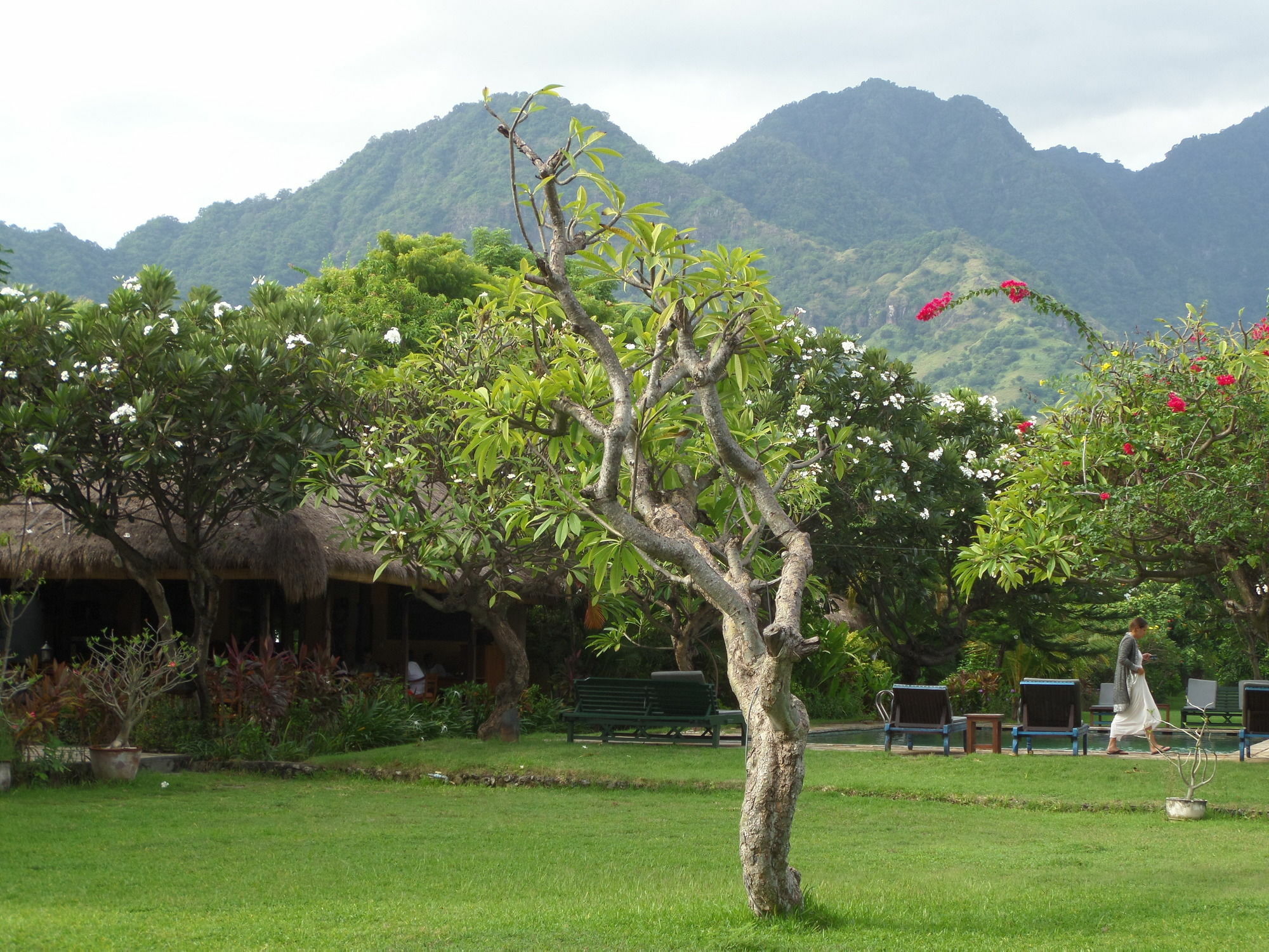 Taman Selini Wahana Beach Resort Pemuteran Kültér fotó